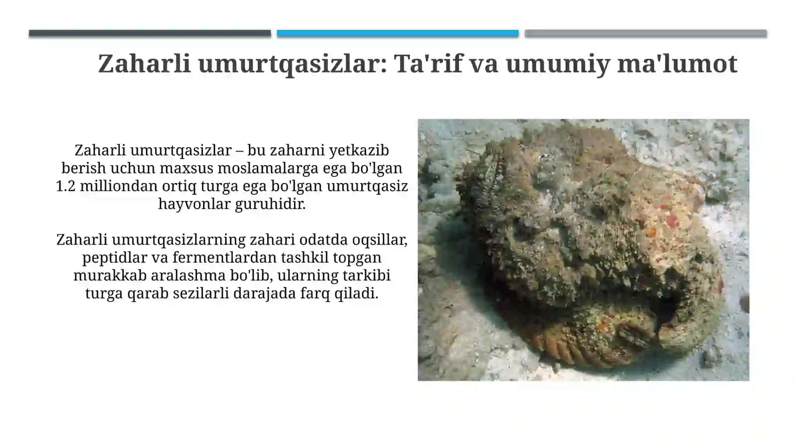 Zaharli umurtqasizlar: Ta'rif va mexanizmlar 3