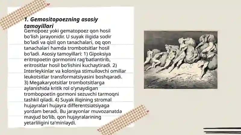 Gemositopoez.Gemositopoezning neyro-gumoral boshqarilishi 3