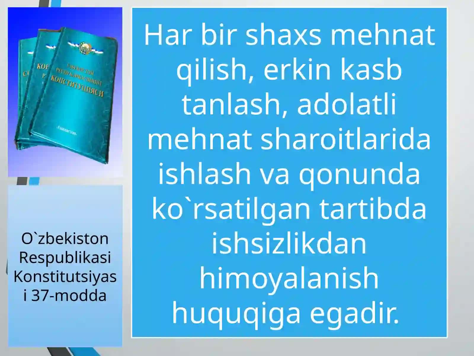 4-sinf Tarbiya fanidan Mehnat qilish va kasb tanlash huquqi dars ishlanma 3