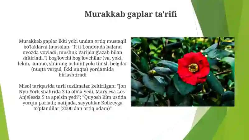 Murakkab gaplar ta'rifi 3