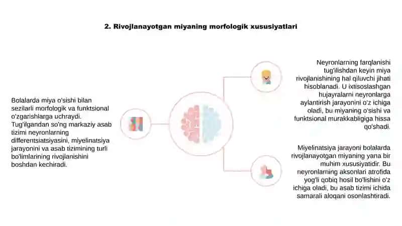 Bolalarda bosh miyaning morfologik va funksional xususiyatlari 3