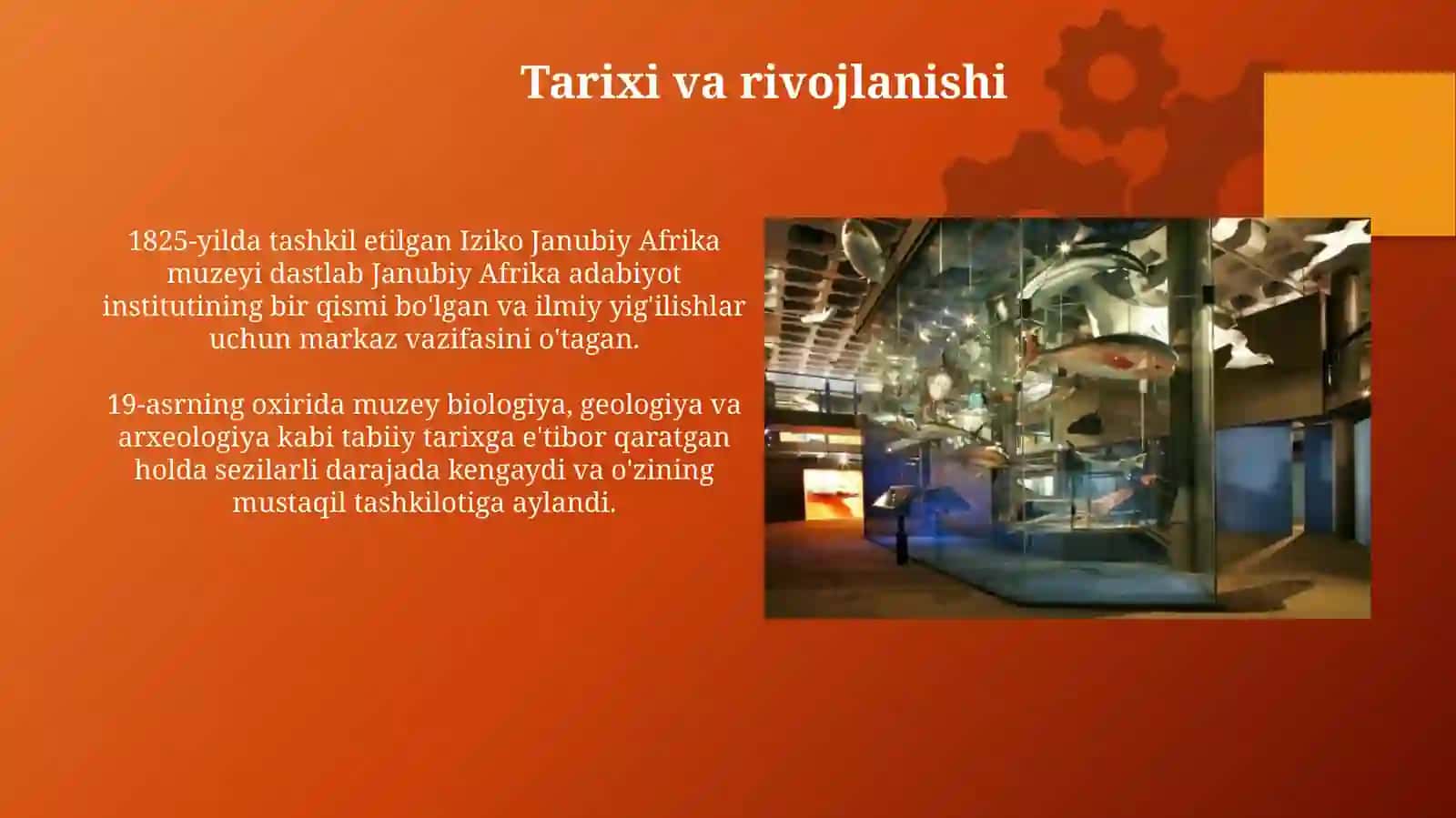 Iziko Janubiy Afrika muzeyi 3