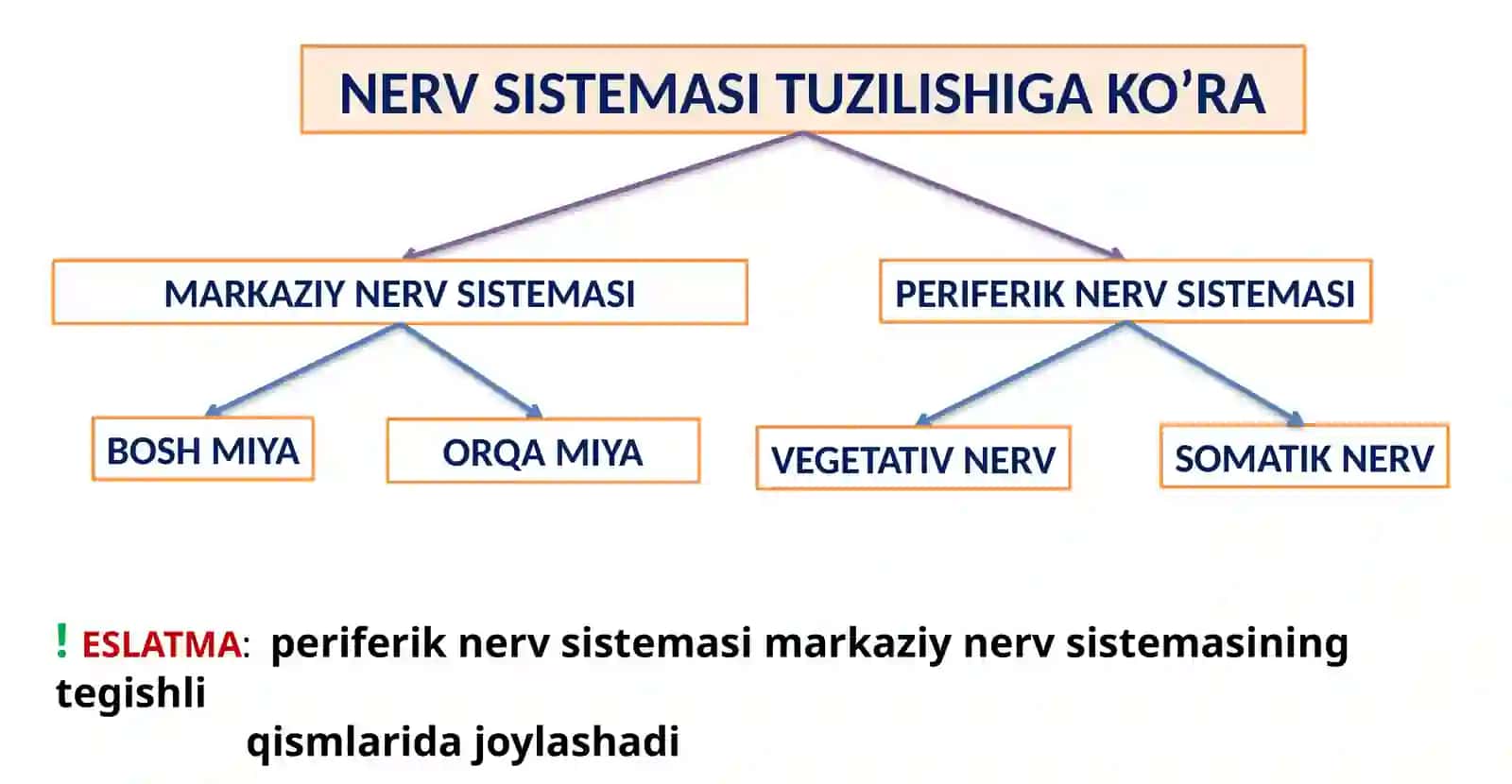 Oliy va tuban funksiyalar 3