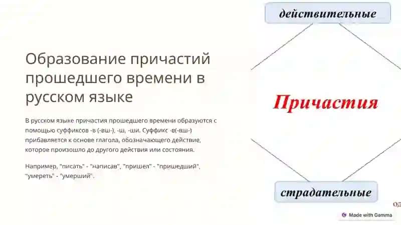 Введение в анатомо-гистологическую номенклатуру 3