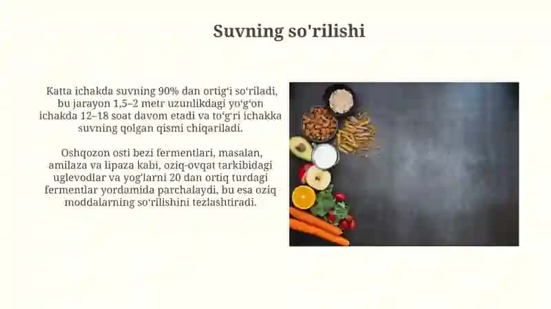 Ovqat va uning hazm bo‘lish haqida tushuncha 3
