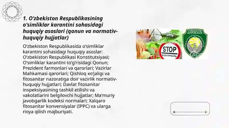 Oʻsimliklar karantini inspeksiyasi mavzusida aniq qonun normalariga asoslangan taqdimot 3