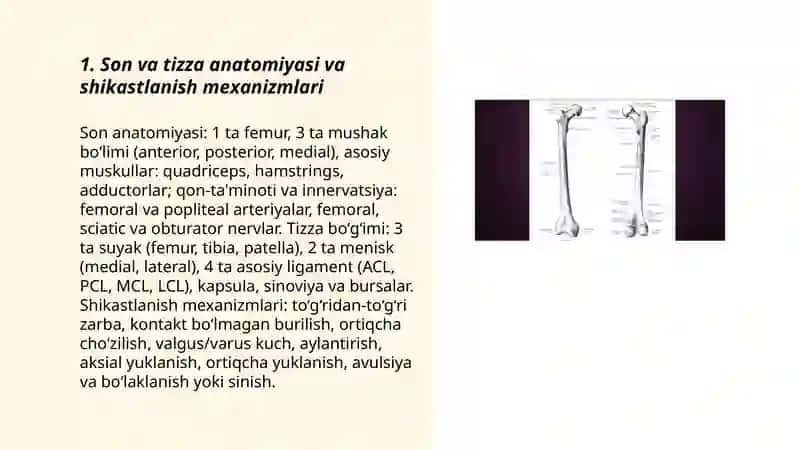 Son va tizza anatomiyasi va shikastlanish mexanizmlari 3