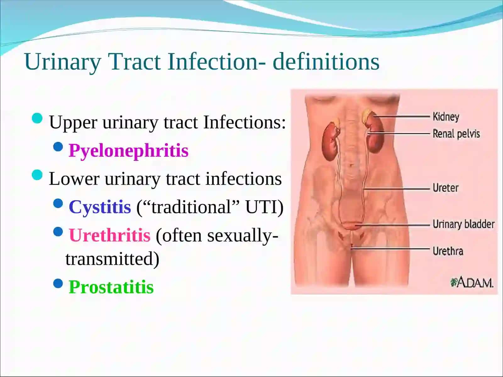 Urinary Tract Infection- definitions 3
