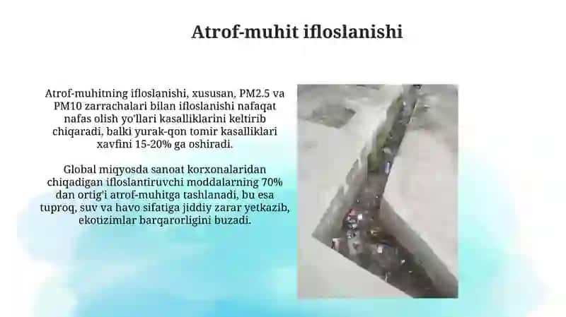 Hozirgi kundagi dolzarbEkologikmuammolar 3