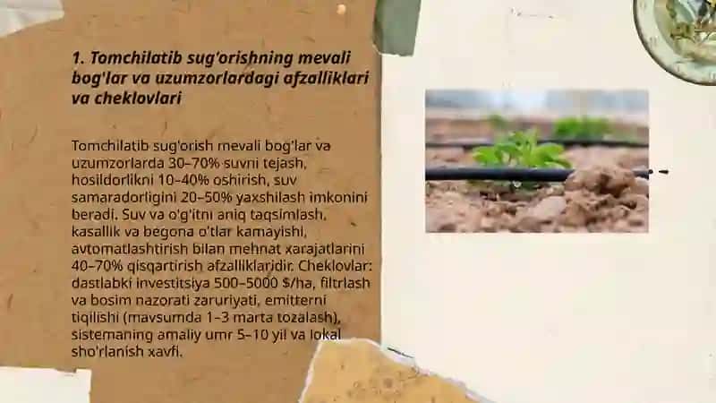 Mevali bog'lar va uzumzorlarda tomchilatib sug'orish usullarini qo'llash 3