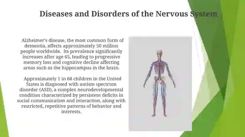 Nervous System 3