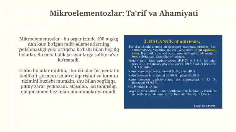 Mikroelementozlar: Ta'rif va Ahamiyati 3