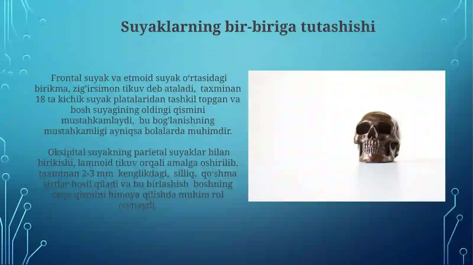Kallasuyaklari(umumiytushuncha).Ensa,tepa,peshonasuyaklar 3