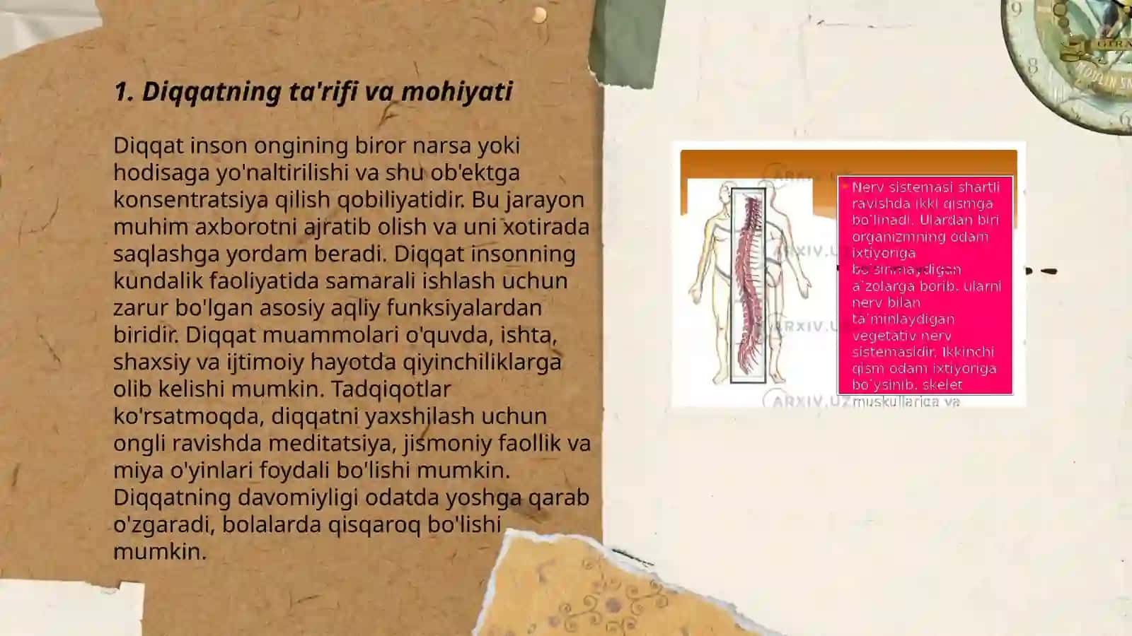 Diqqat haqida tushuncha va uning nerv-fiziologik asoslari 3