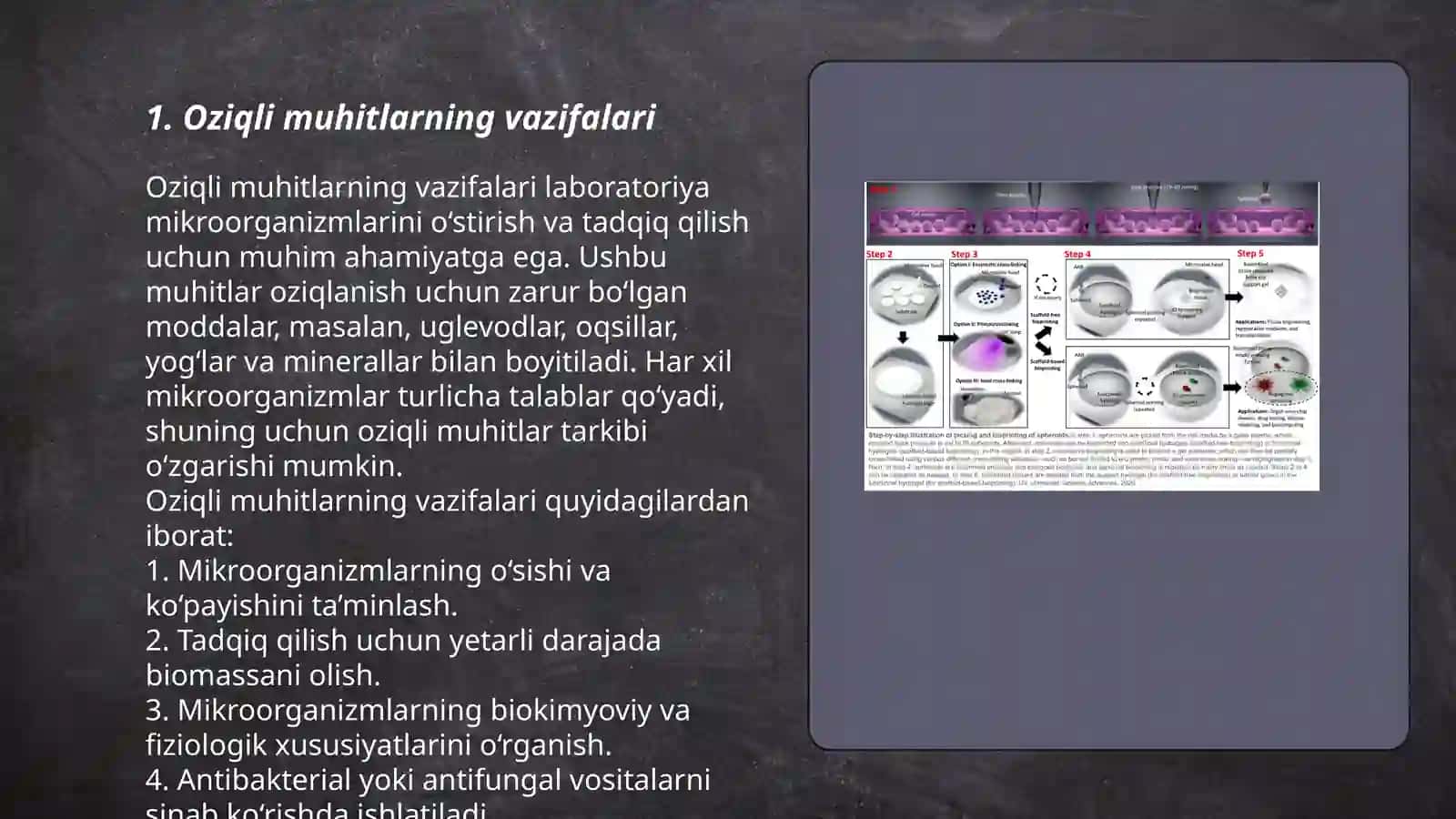Oziqli muhitlar. Aerob bakteriyalarni sof hosilasini ajratish usullari 3