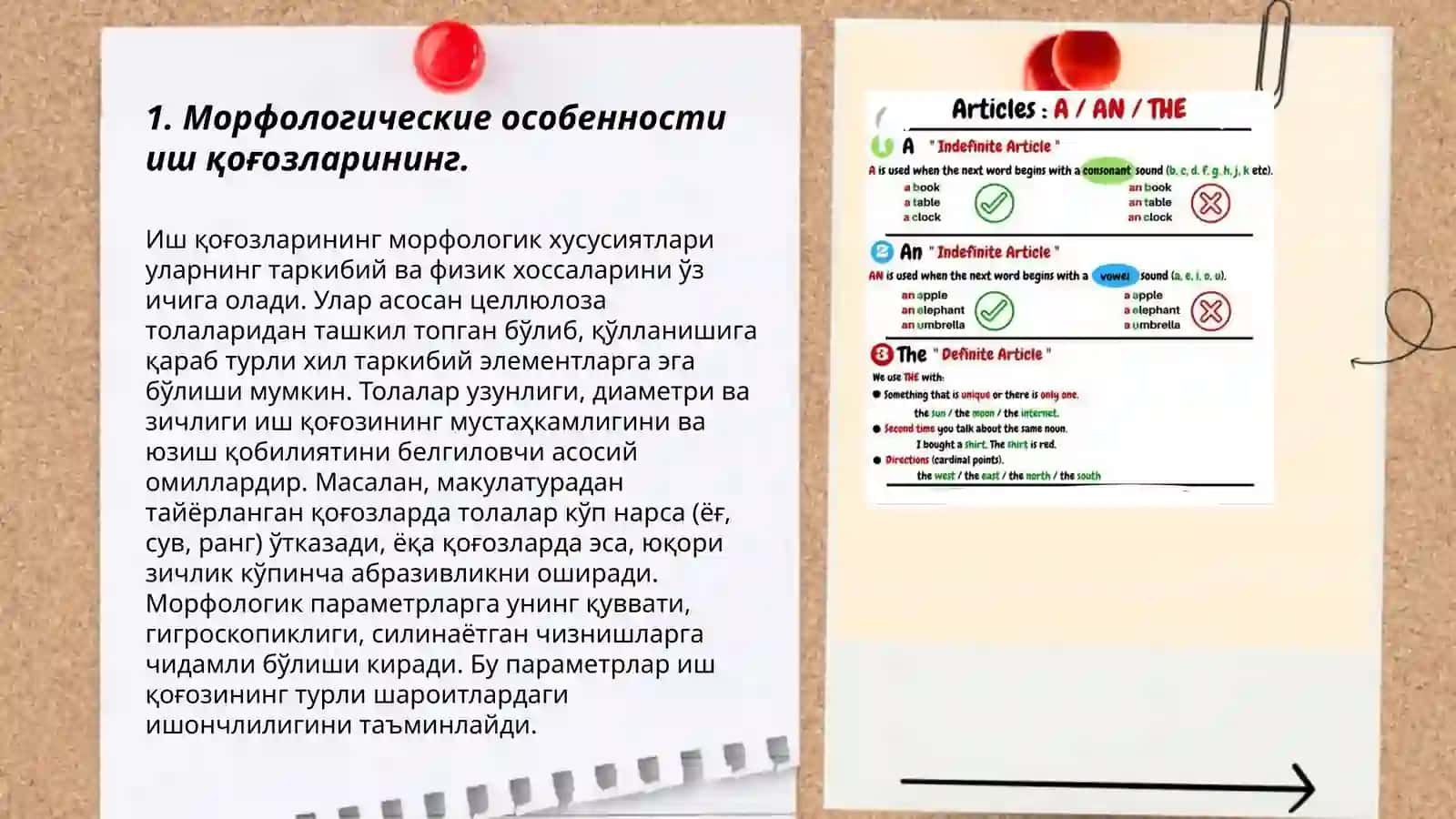Иш қоғозларининг морфологический таркиби 3