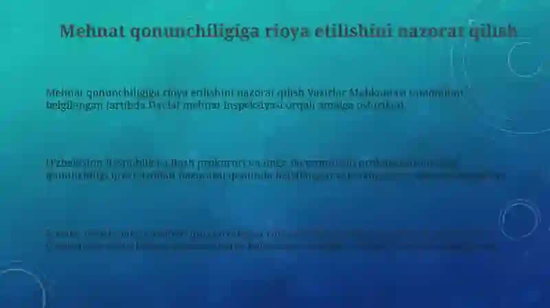 Mehnat qonunlariga rioya etilishini nazorat qilish 3