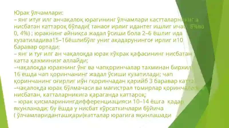 Болалар Юрак Қон Томир Тизимининг Анатомик Физиологик Хусусиятлари 3