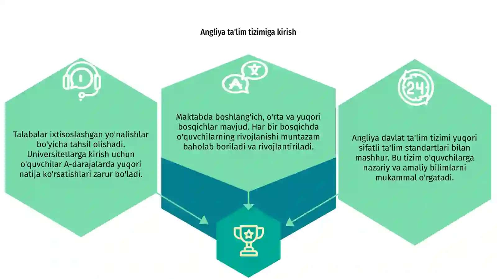 Angliya davlat ta'lim tizimi 3