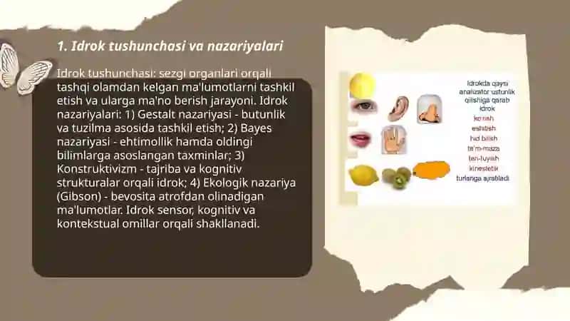 Idrok 3
