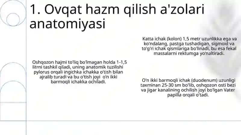 Ovqat hazm qilish a'zolari anatomiyasi 3