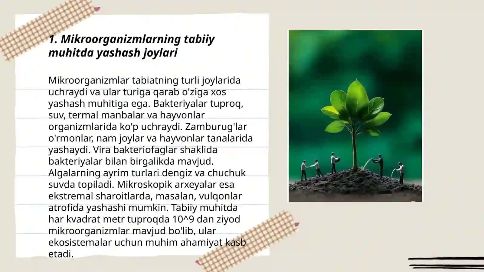 Mikroorganizmlarning tabiatda tarqalishi va ahamiyati 3