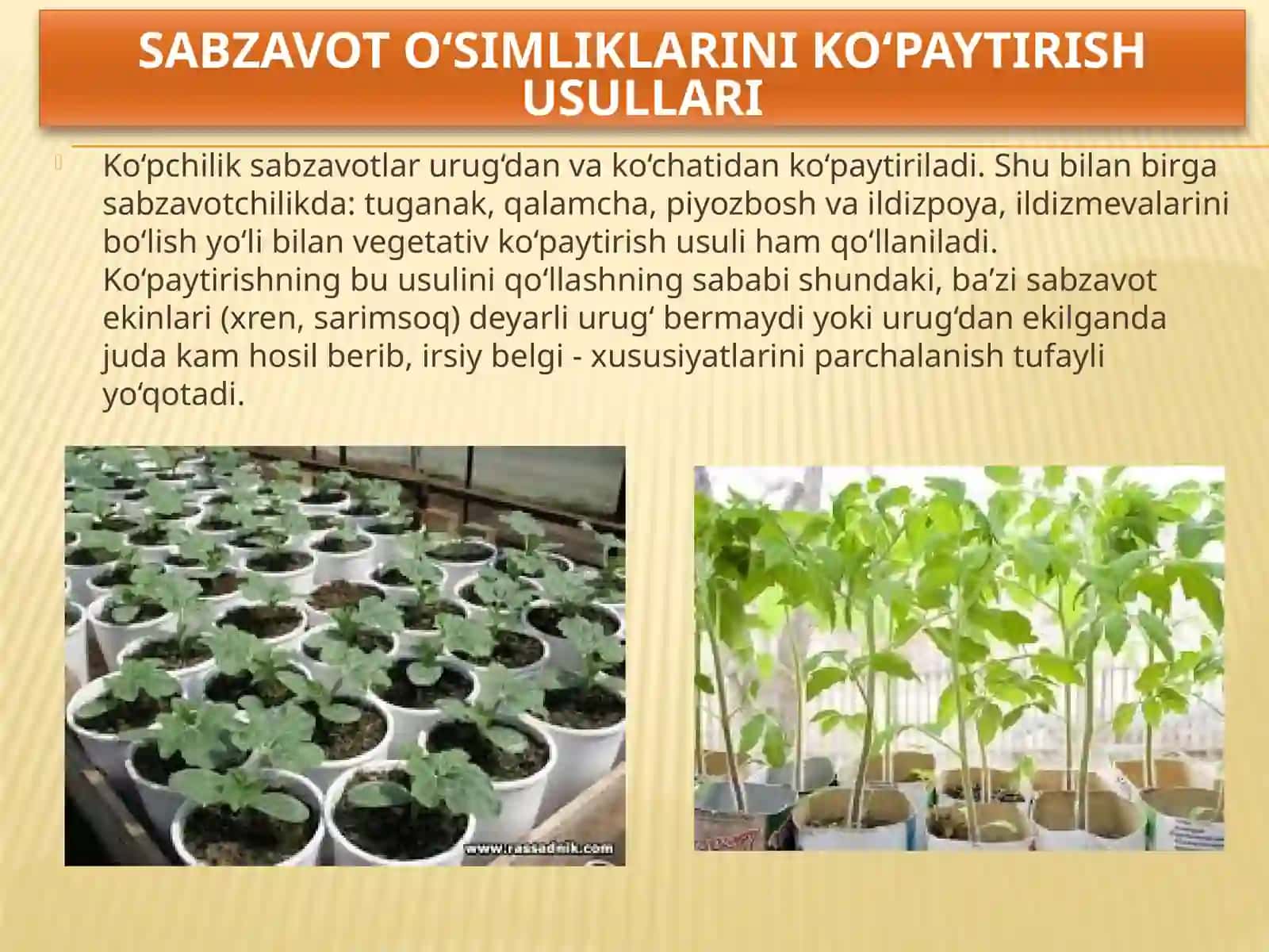 SABZAVOTEKINLARINIEKISH MUDDATLARI,USULLARI VAALMASHLAB EKISH 3