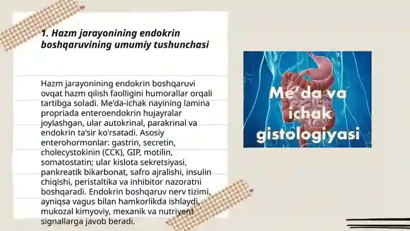 Hazmlanish jarayonining endokrin boshqariluvi 3