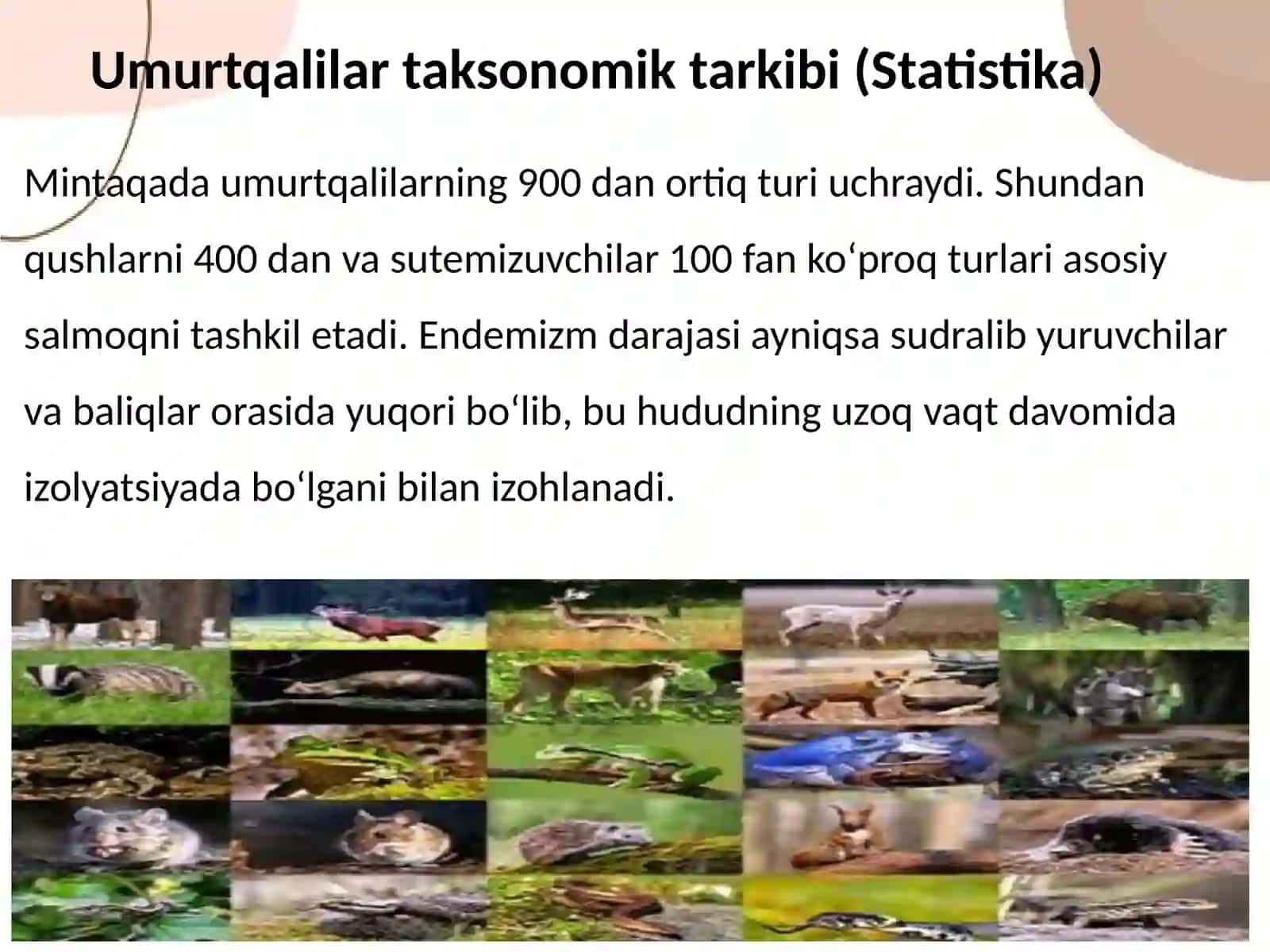 O'rta Osiyo tekisliklari suv havzalari va togʻ hududlarida yashovchi umurtqali hayvonlar 3