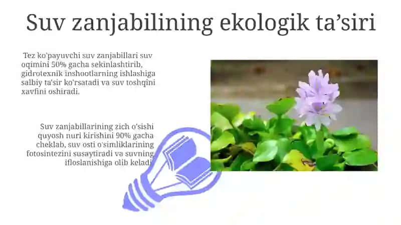 O’ZBEKISTONDA NILUFARGULDOSHLAR (Nymphacoideaces R.A.Salibs) OILASI 3