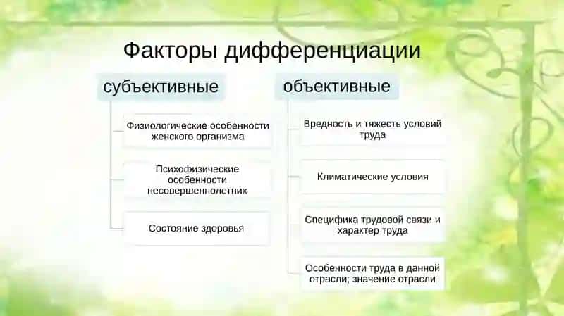 Основы трудового законодательства в фармацевтических организациях 3
