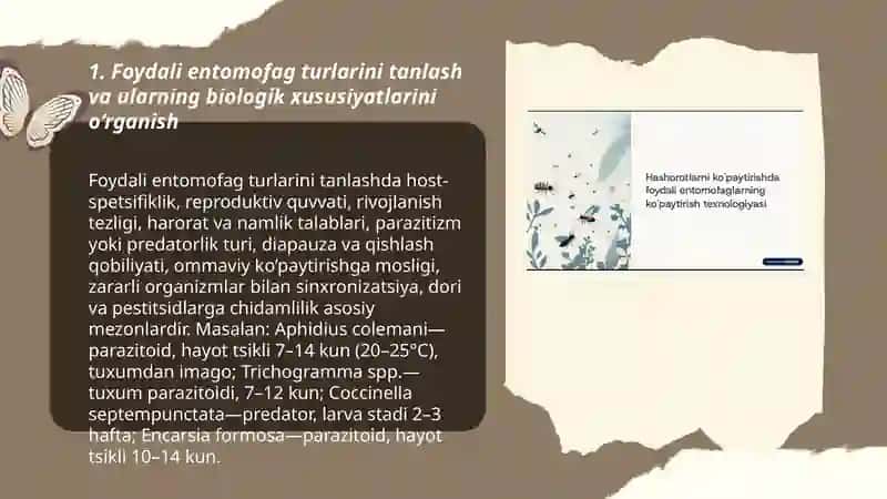Hasharotlarni ko'paytirishda Foydali entomofaglarni ko'paytirish texnologiyasi 3