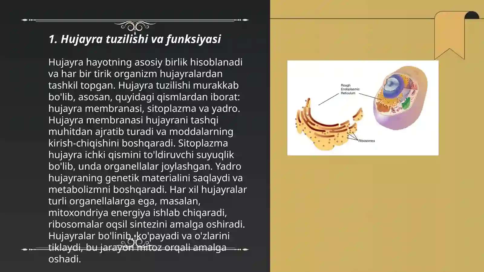 Hujayra strukturasi va funksiyasi.Sitoplazmaning struktura komponentlari. Hujayra organoidlari– Endoplazmatik tor, ribosoma, polisoma va ularning tuzilishi, funksiyasi 3