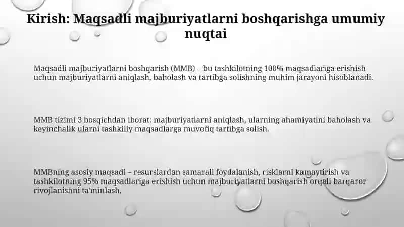 Majburiyatlarni maqsadli boshqarishni tahlil qilish 3