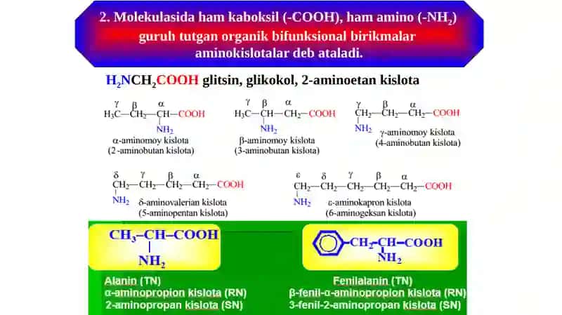Aminokislotalar va peptid bog‘lar. Oqsil tuzilishi. Fermentlar 3