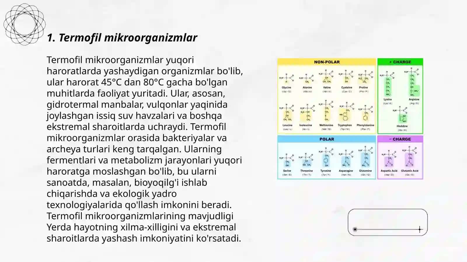 Mikroorganizmlarning Geyserlar va issiq manbalarda tarqalishi 3