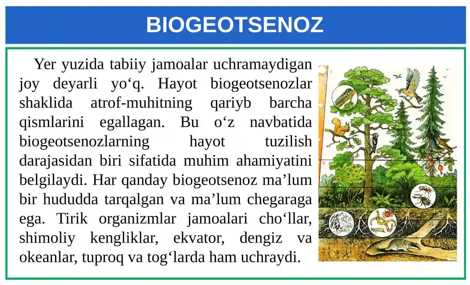 Hayotning ekosistemalar darajasi xususiyatlari. Biogeotsenoz 3