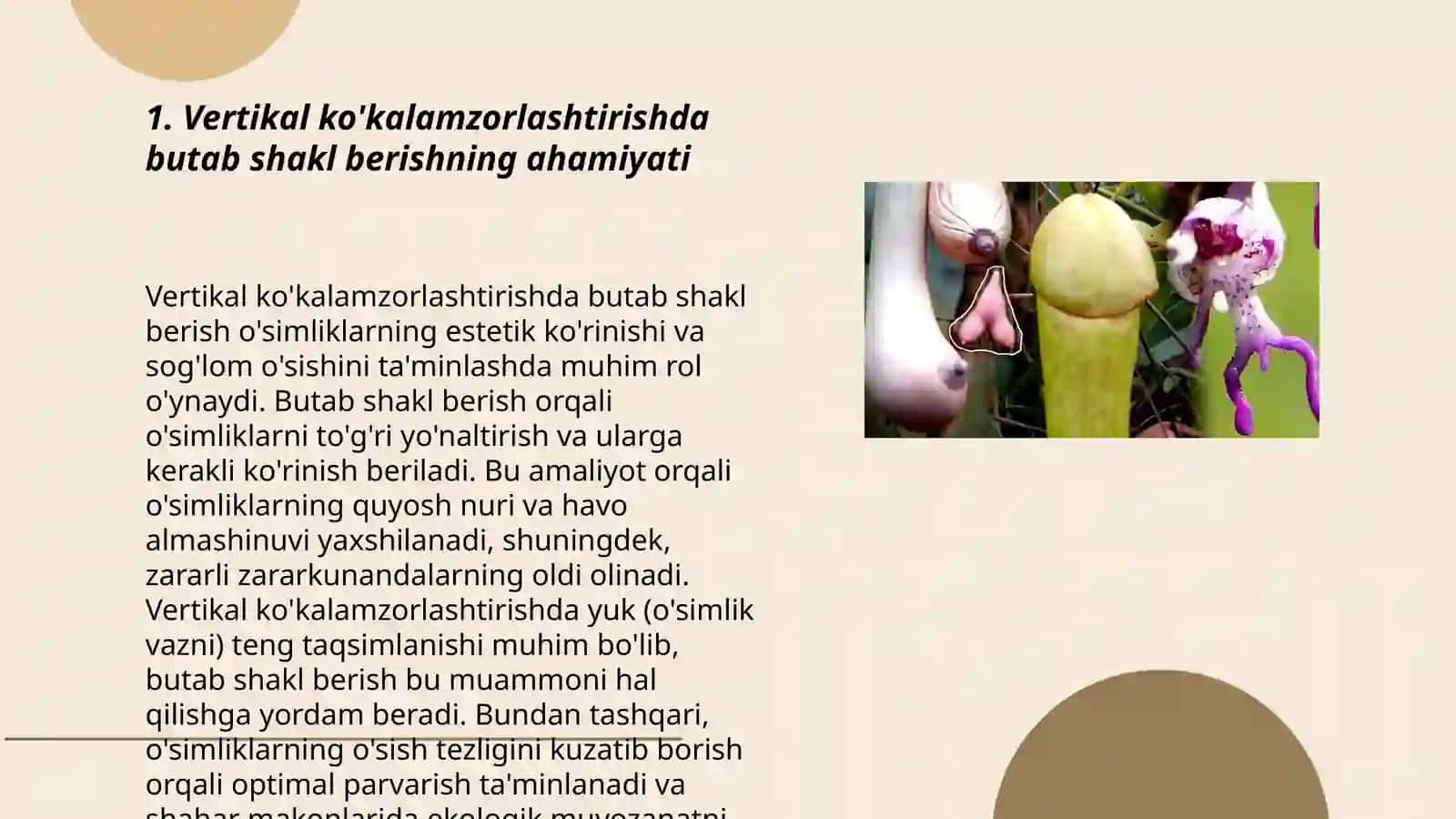 Vertikal kòkalamzorlashtirishda butab shakil beriladigan daraxt-buta òsimliklardan foydalanish 3