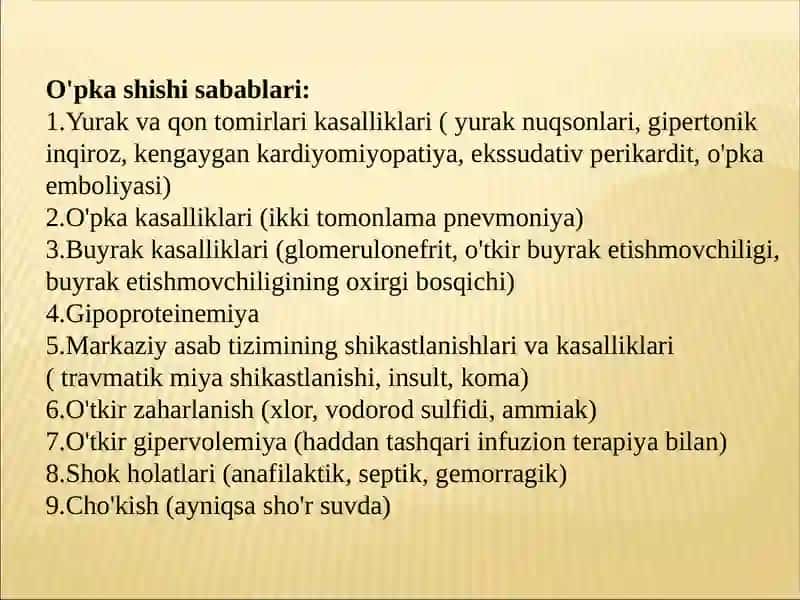 O'PKA SHISHI 3