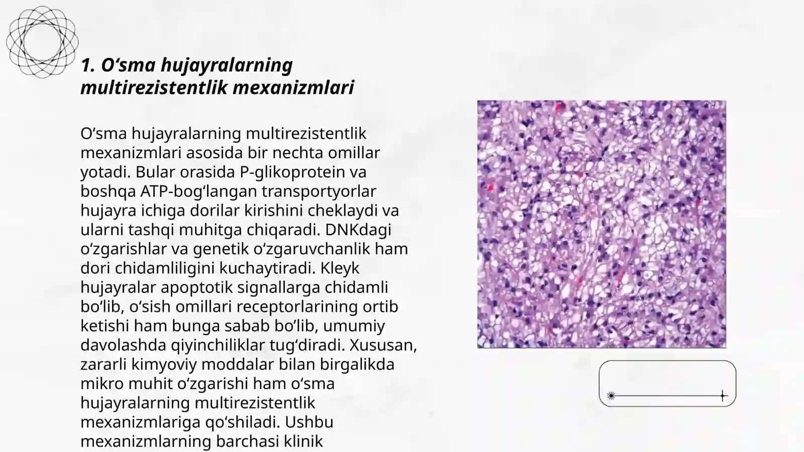 Oʻsma hujayralarning kimyoviy dori vositalariga multirezistentligi 3