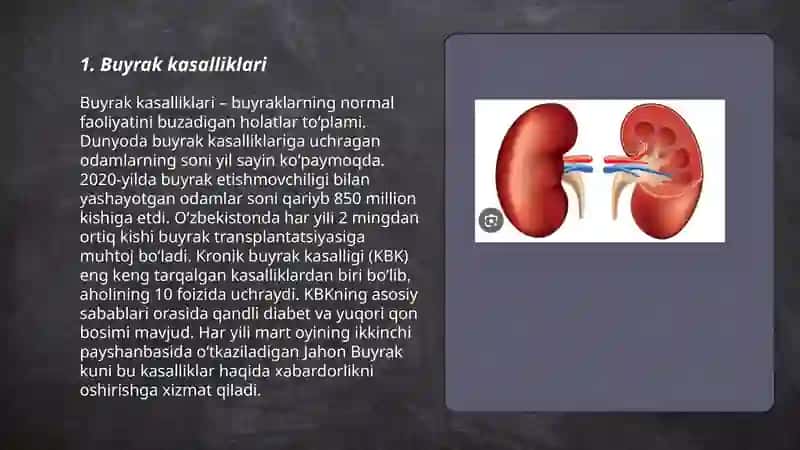 Buyrak 3