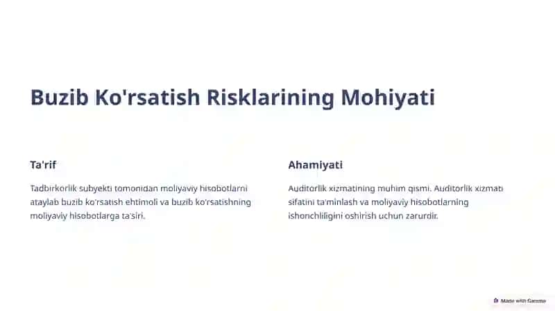 Auditorlik riski 3