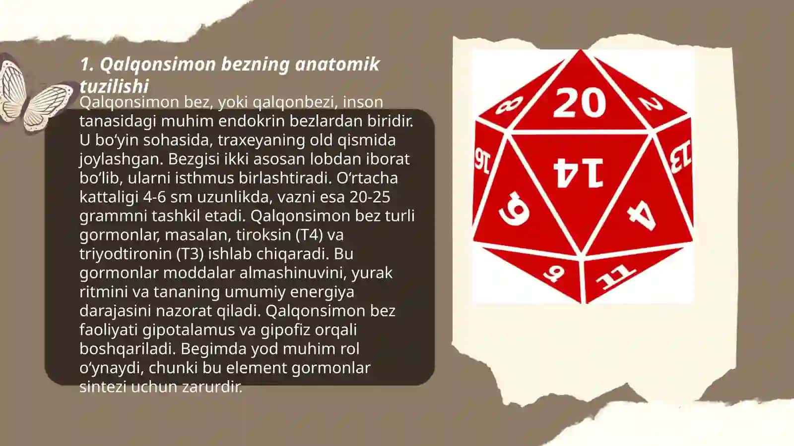 Qalqon oldi bezi anatomiyasi, funksiyasi va garmonlari haqida malumot 3