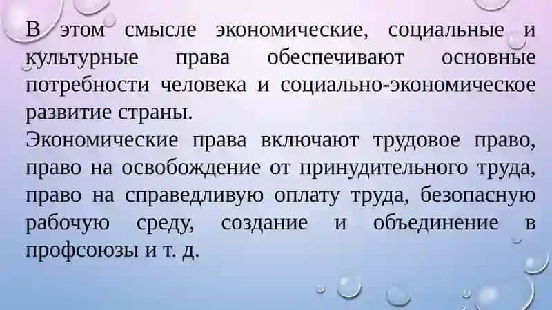 Экономические, социальные, культурные и экологические права 3