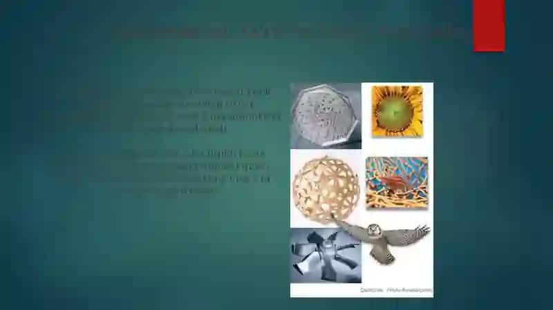 Biomimikriya: Yutuqlar va Ilhom Manbalari 3
