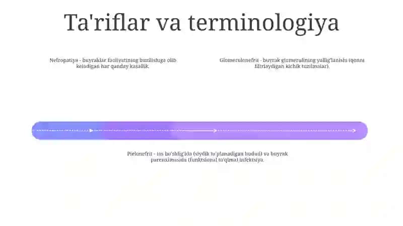 Nefropatiya, Glomerulonefrit, OʻTkir Va Surunkali Buyrak Yetishmovchiligi. Pielonefrit. Nefrotserroz.Patomorfologiyasi 3