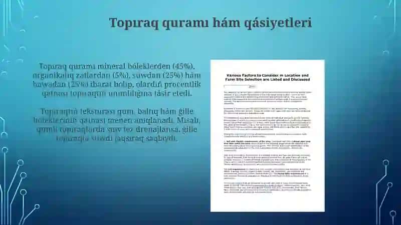 Topiraq ha'm topografiyaliq faktorlar 3