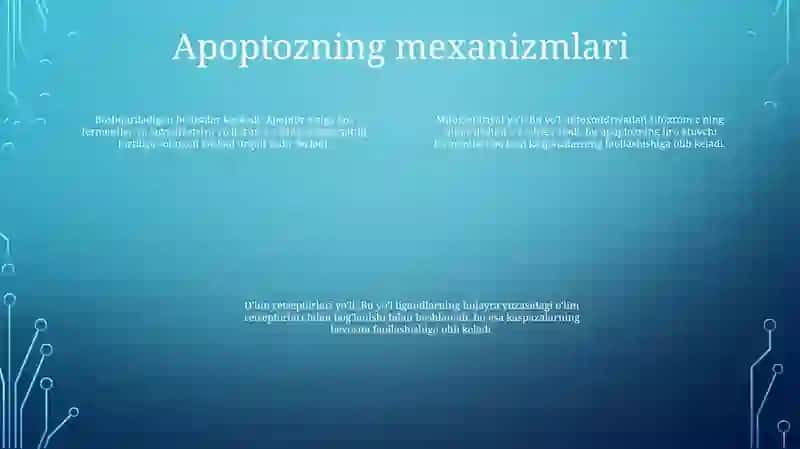 Hujayra Apoptozi Va Uning Biologik Ahamiyati Jarayonlarining Boshqaruvi 3
