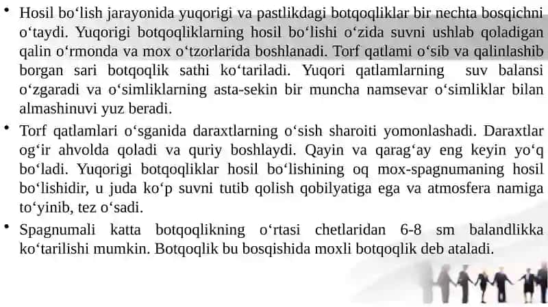 Yo‘llarni botqoqlangan hududlarda loyihalash. (taqdimot (slayd)). 3