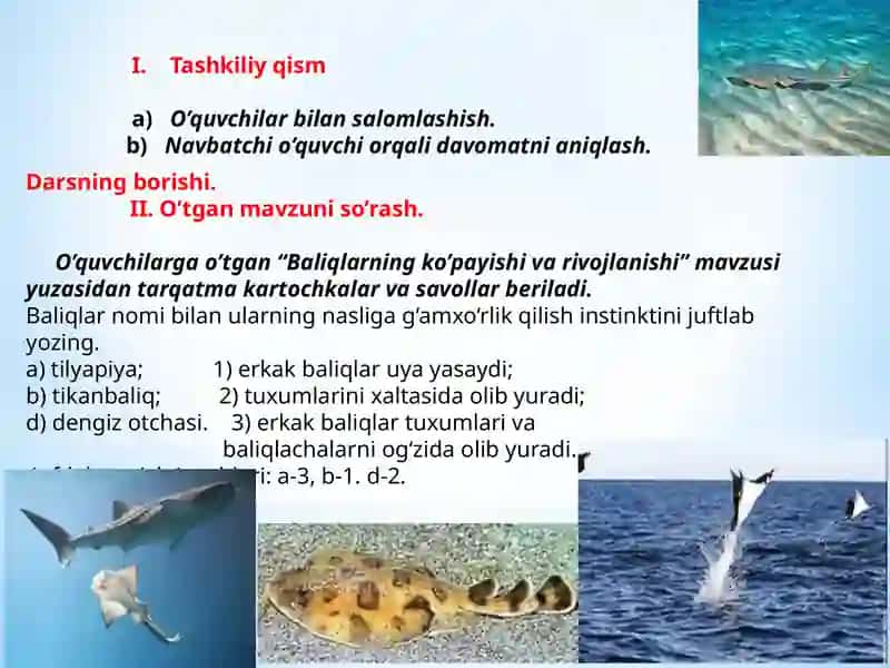 Baliqlarning xilma-xilligi: tog'aylibaliqlar sinfi 3